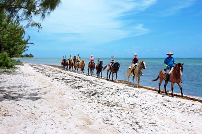 Horseback Riding & Snorkel With Lunch